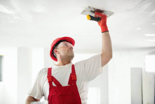 Best Drywall Installation  in Castalia, OH